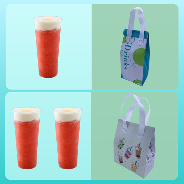 XYX BAG-Bolsa refrigeradora